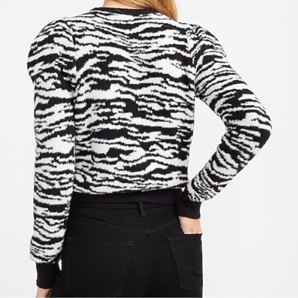 Zebra Stripe Puff Shoulder Sweater - Picture 2 of 4